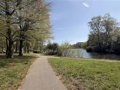 Picture 17